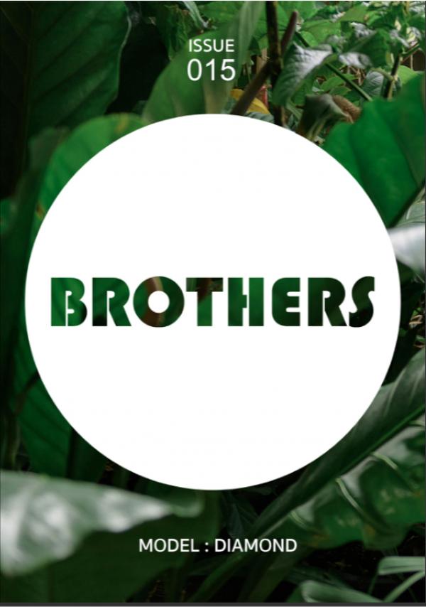 Brothers-Vol.15---Diamond